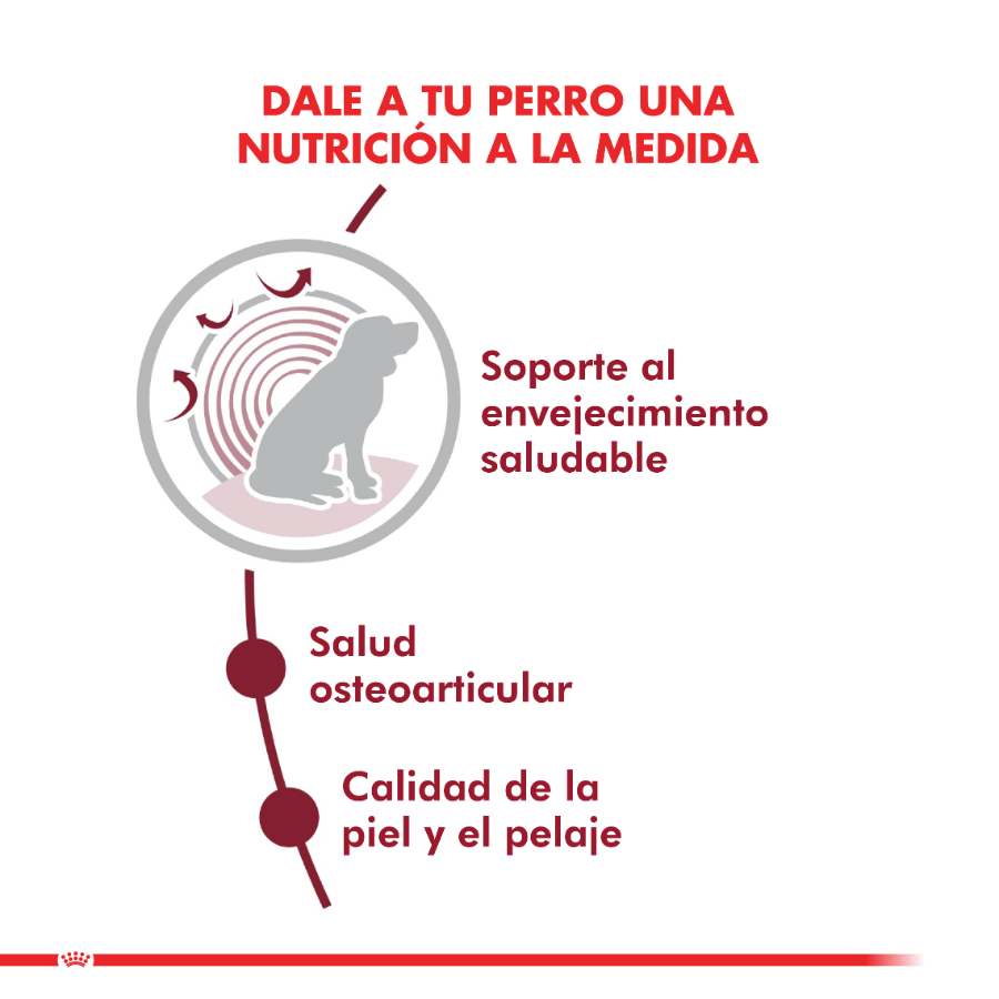 Royal Canin alimento seco para perro adulto Medium Ageing 10+ 15KG, , large image number null